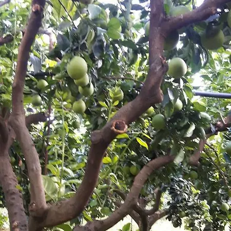 In Sizilien *